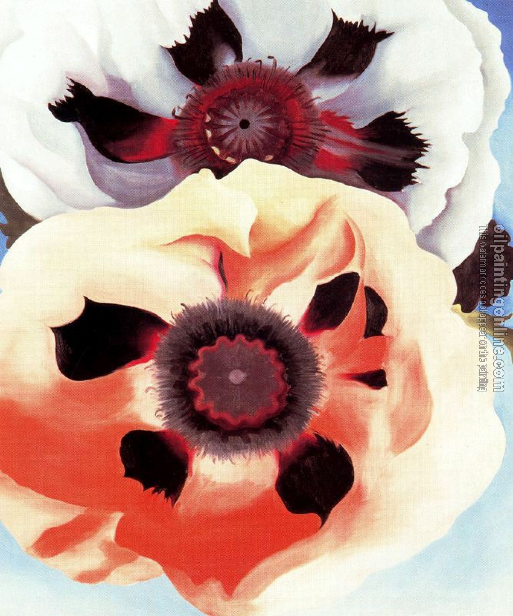 O Keeffe, Georgia - Poppies